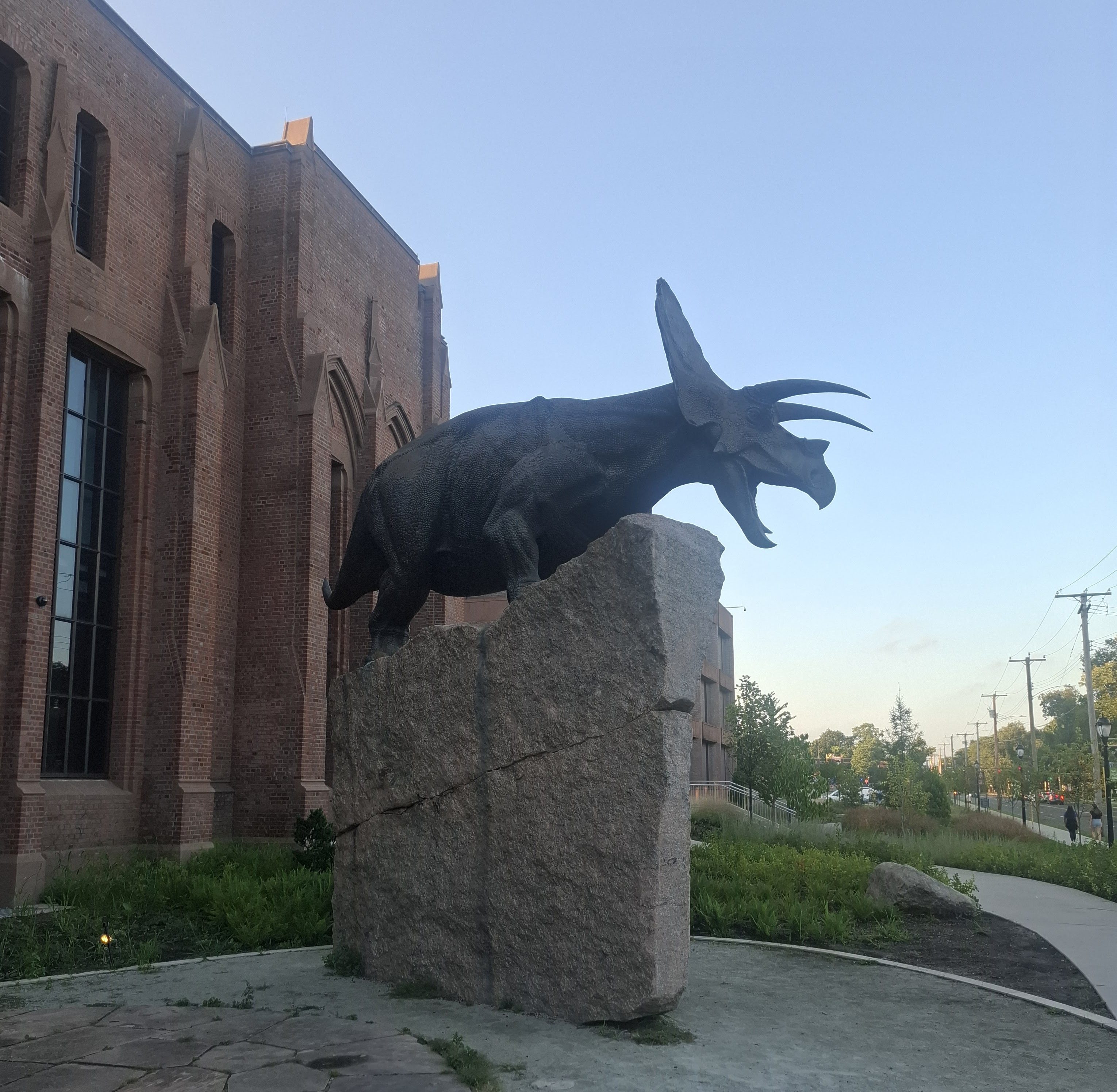Torosaurus Sculpture at the Peabody Museum of Natural History