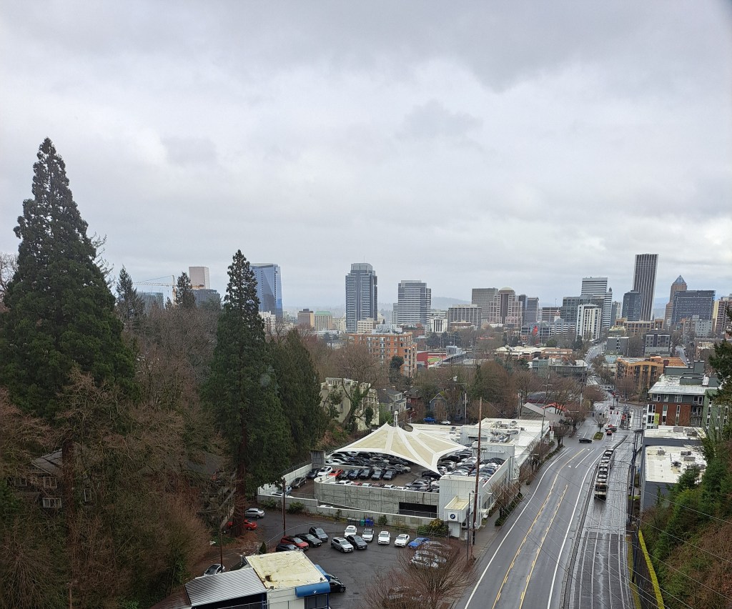 Vista Bridge Viewpoint