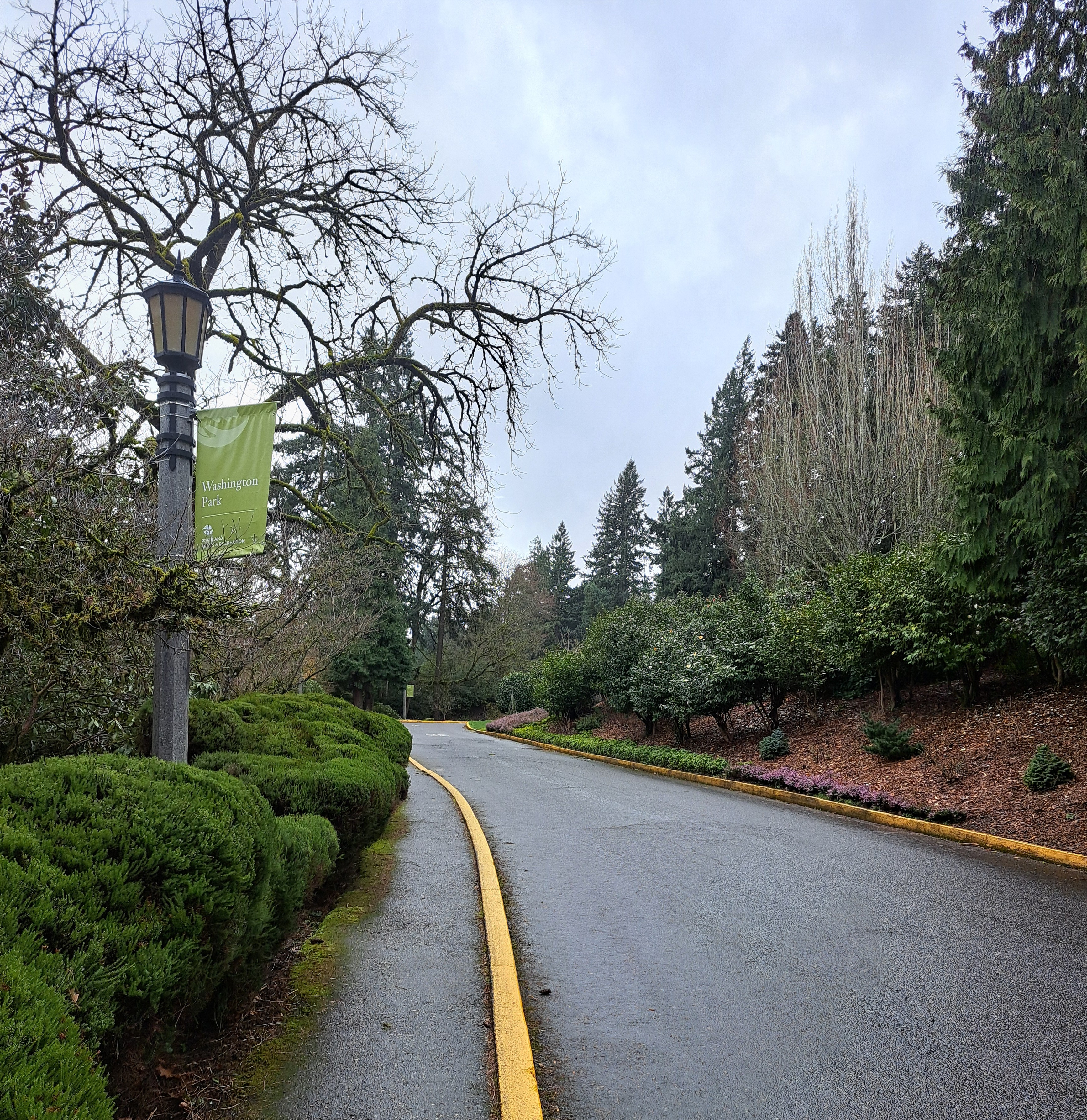 Portland Washington Park road view